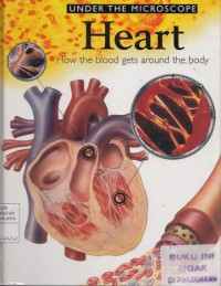 Heart : how the blood gets around the body  1